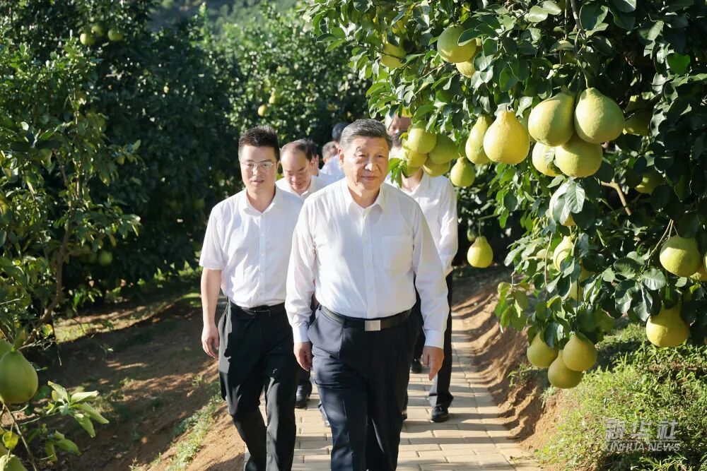 20251110084131_8925 首页| 217永信贵宾会官网入口